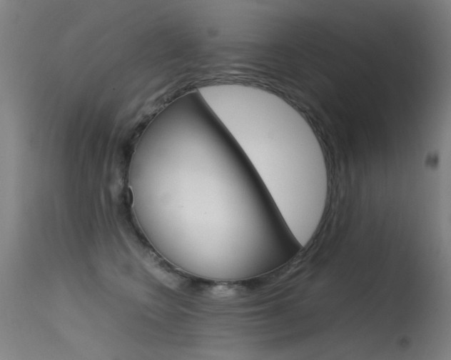 X0000115620566200911101059