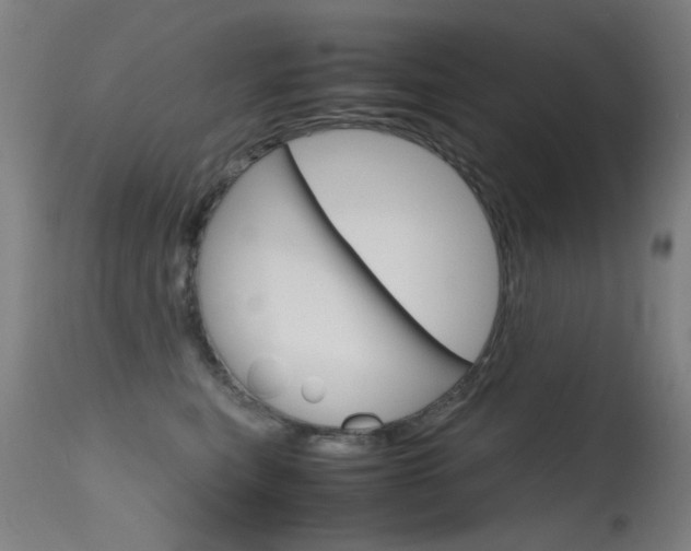 X0000115620567200911101059