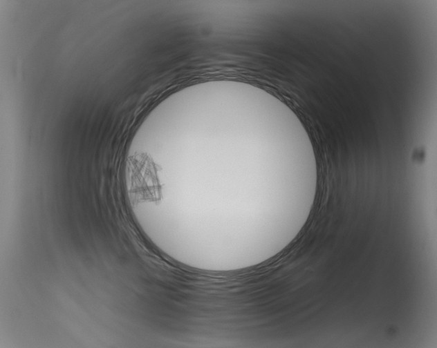 X0000115620570200911101059