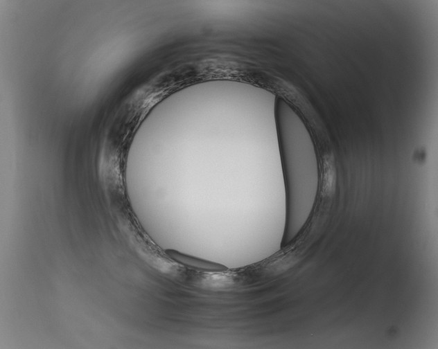 X0000115620573200911101059