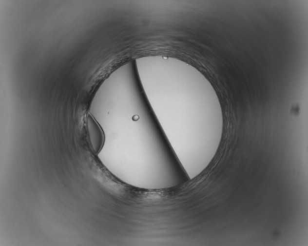 X0000115620574200911101059