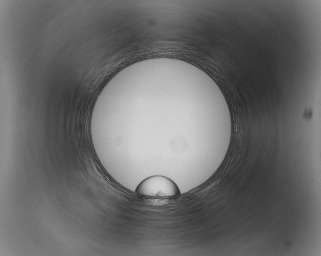 X0000115620575200911101059