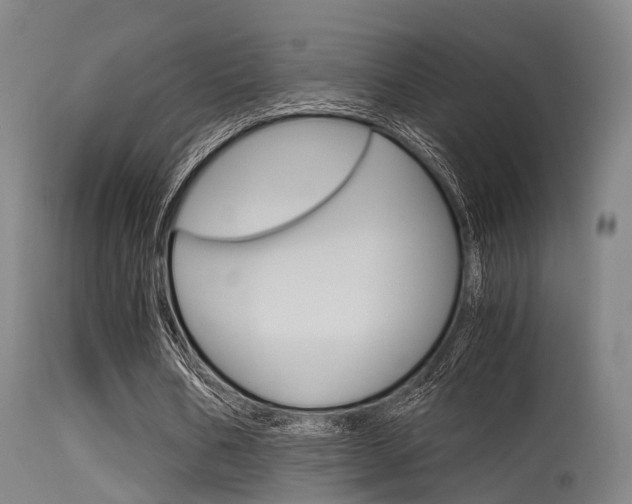 X0000115620578200911101058