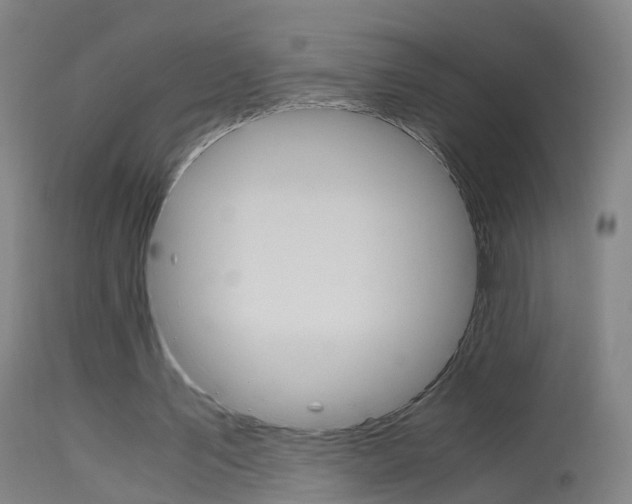 X0000115620579200911101058