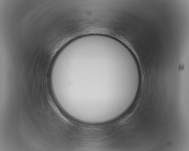 X0000115620581200911101058