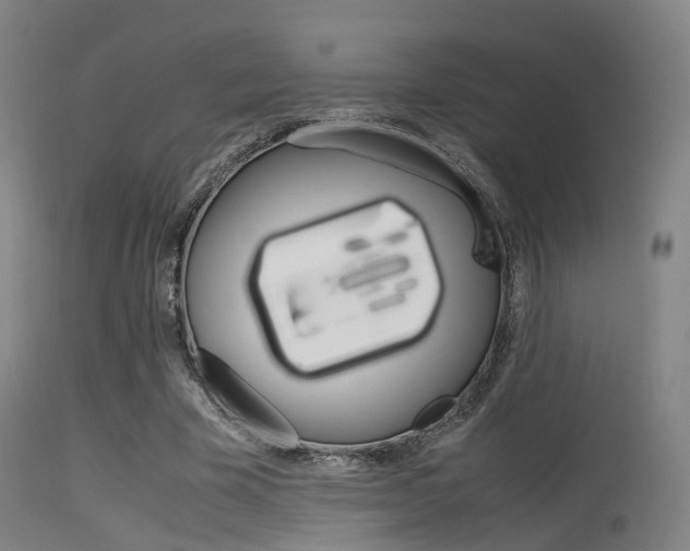 X0000115620585200911101058