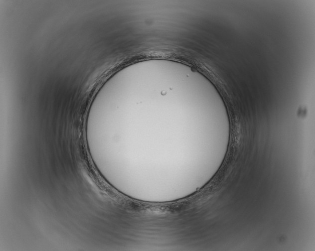 X0000115620586200911101058