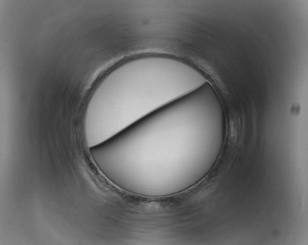 X0000115620588200911101058