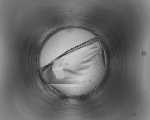 X0000115620592200911101058