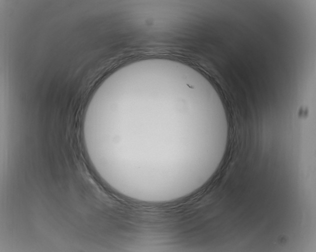 X0000115620593200911101058