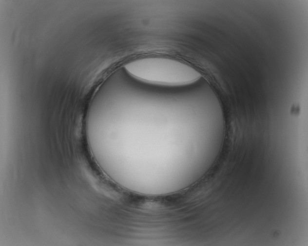 X0000115620596200911101058