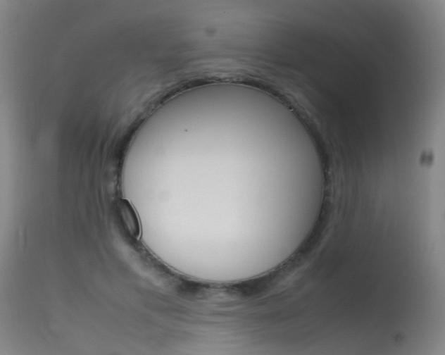 X0000115620597200911101058