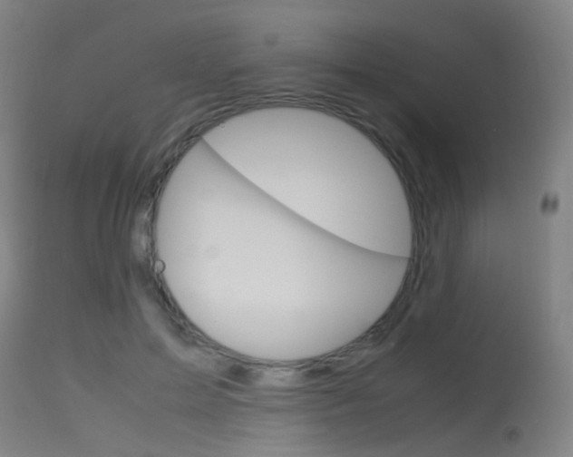 X0000115620599200911101058