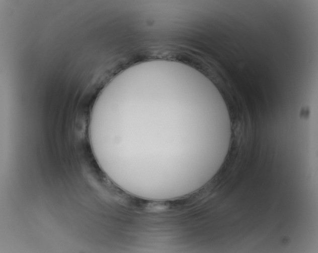 X0000115620602200911101058