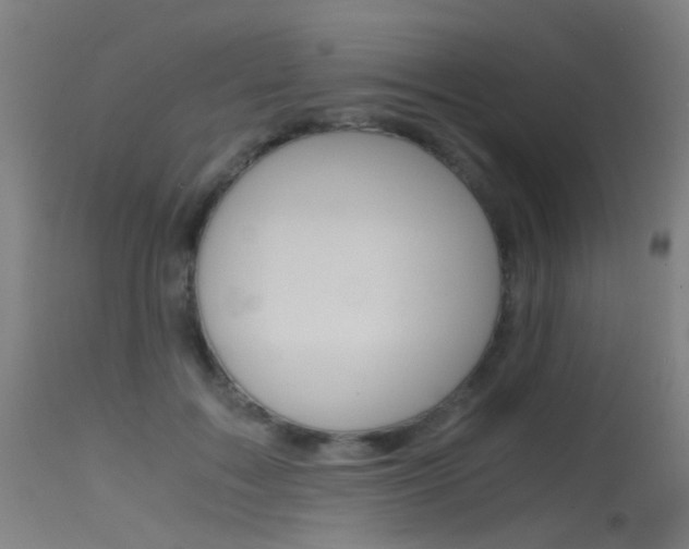 X0000115620603200911101058