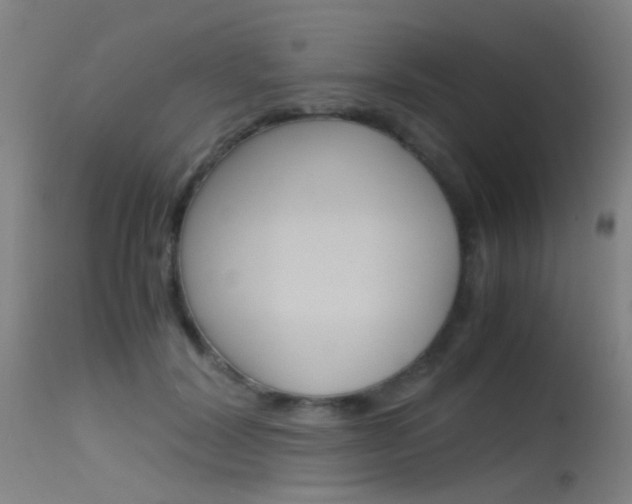 X0000115620604200911101058