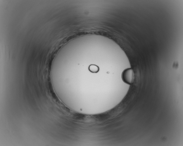 X0000115620608200911101058