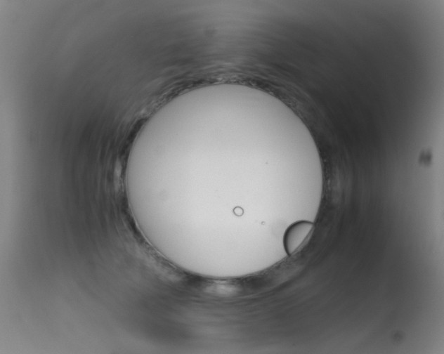 X0000115620610200911101058