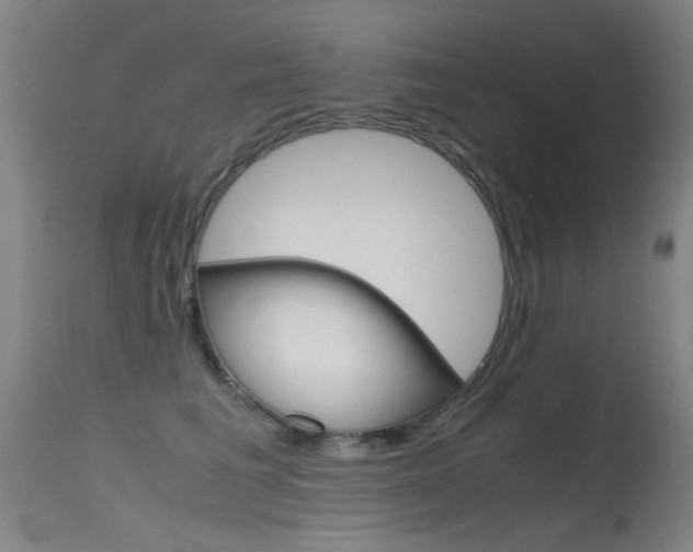 X0000115620613200911101058
