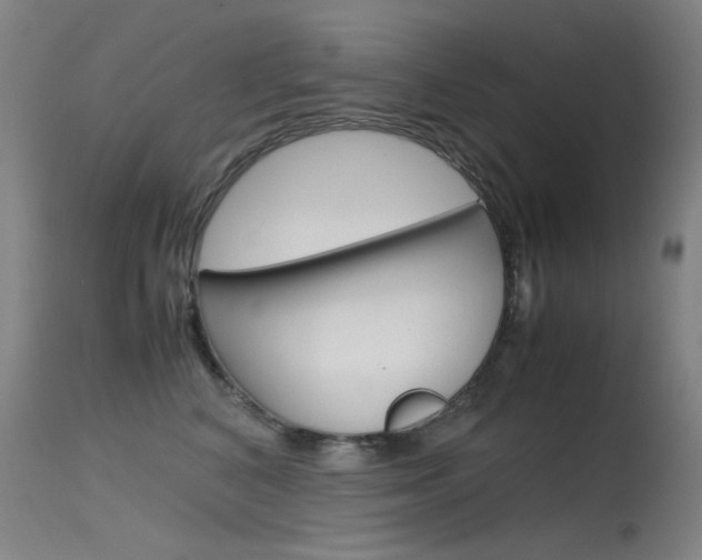 X0000115620616200911101057
