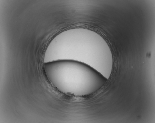 X0000115620617200911101057