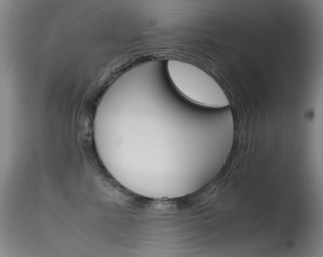 X0000115620619200911101057