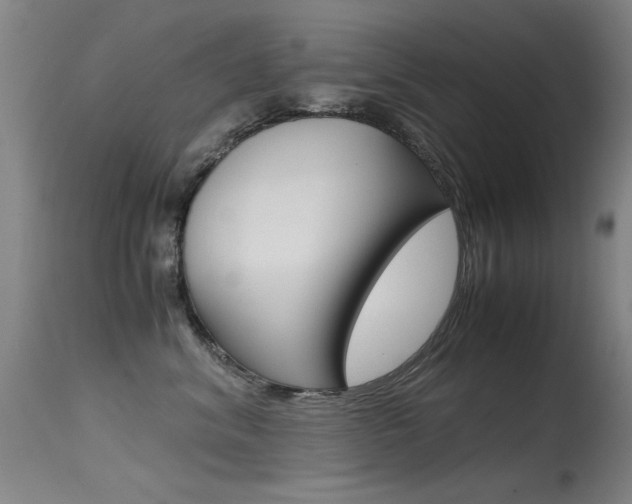 X0000115620620200911101057