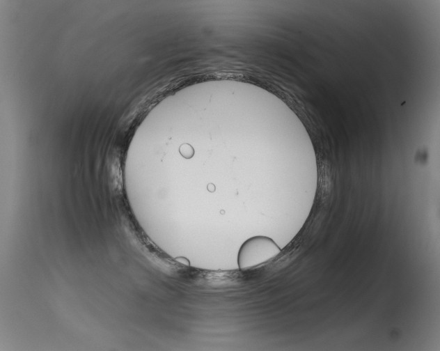 X0000115620622200911101057
