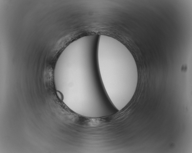 X0000115620623200911101057