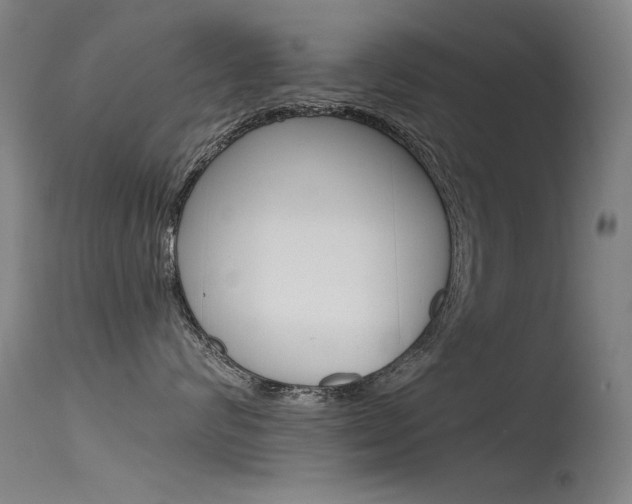 X0000115620624200911101057