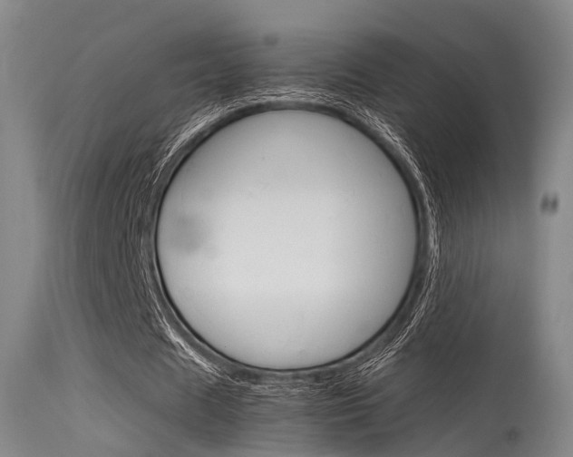 X0000115620625200911101057