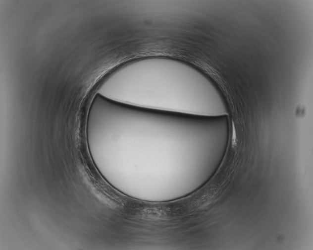X0000115620627200911101057