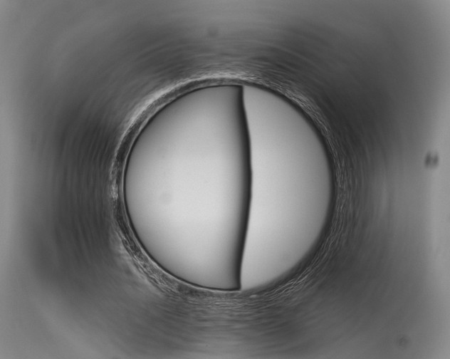 X0000115620628200911101057