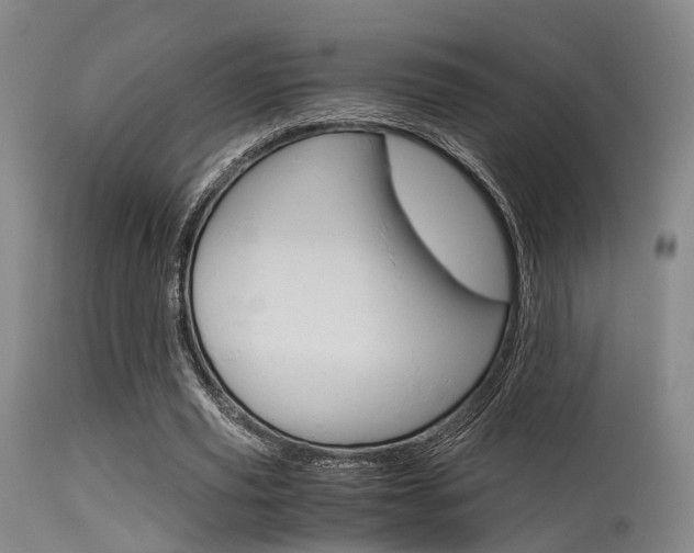 X0000115620629200911101057