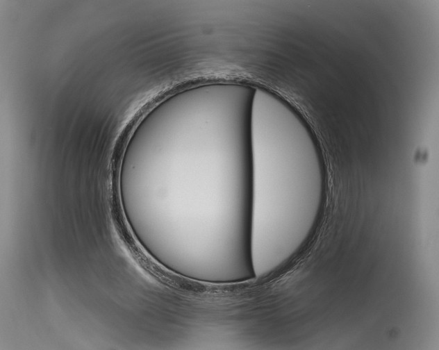 X0000115620630200911101057