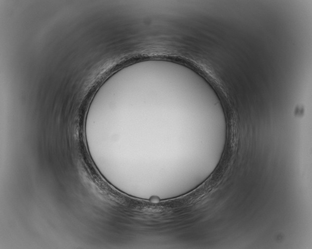 X0000115620631200911101057