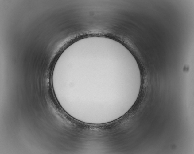 X0000115620632200911101057