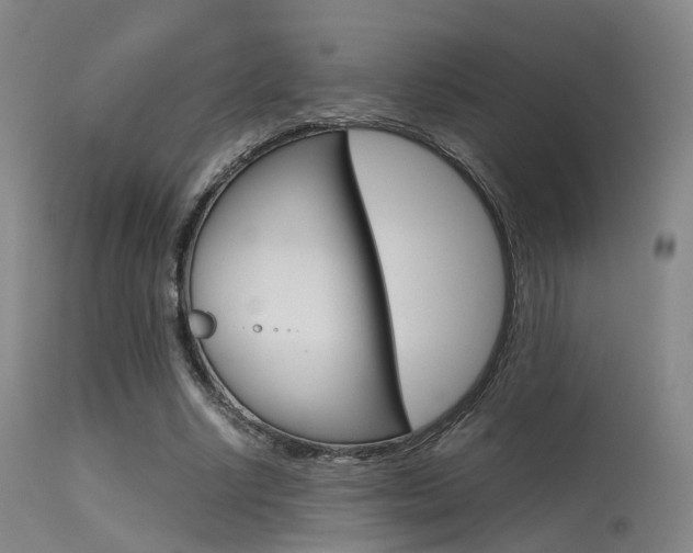 X0000115620634200911101057