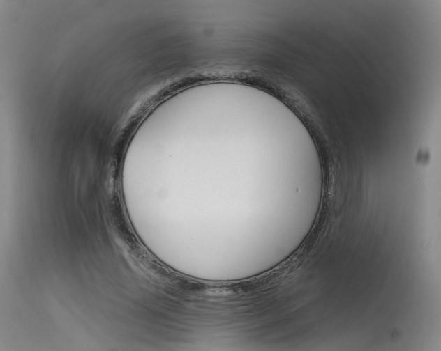 X0000115620636200911101057