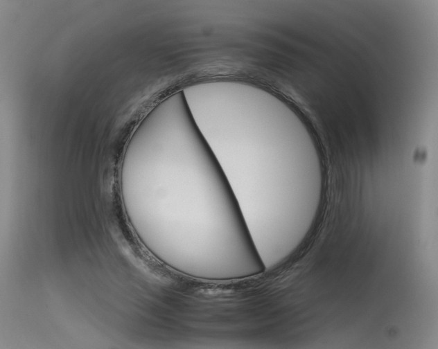 X0000115620637200911101057