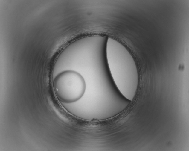 X0000115620638200911101057