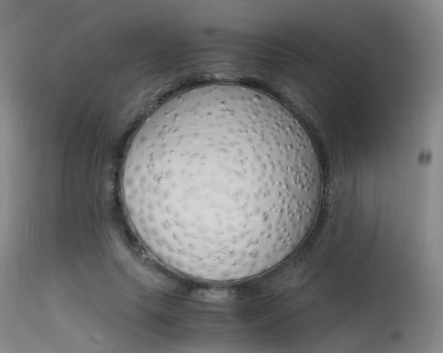 X0000115620639200911101057