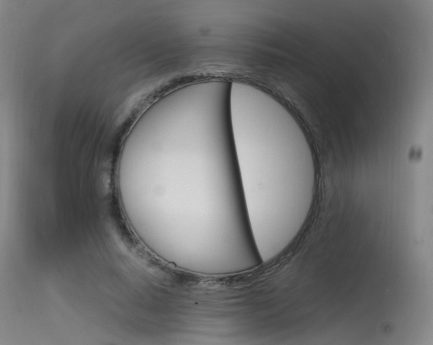 X0000115620640200911101057