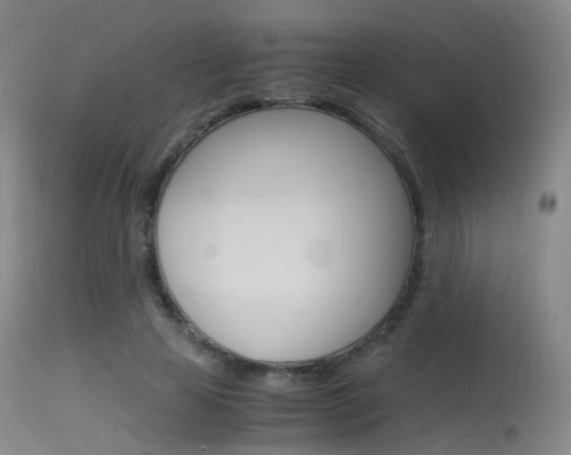 X0000115620641200911101057