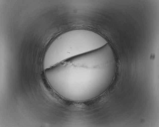 X0000115620642200911101057