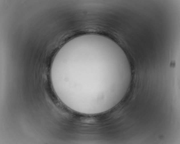 X0000115620643200911101057