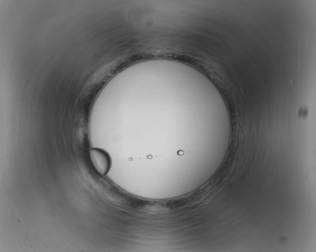 X0000115620644200911101057