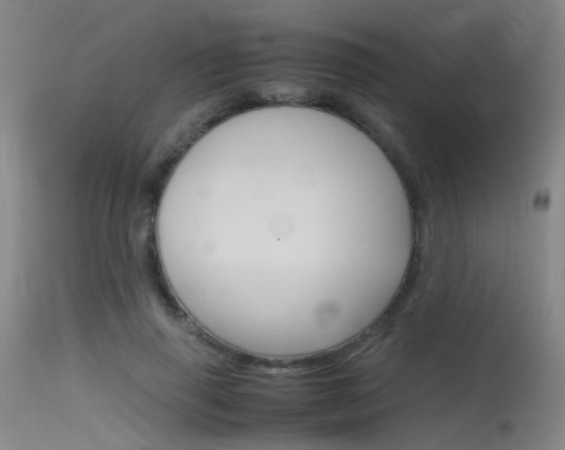 X0000115620645200911101057