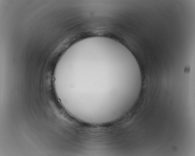 X0000115620646200911101057