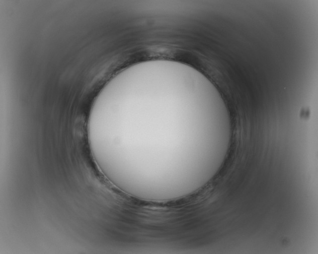 X0000115620649200911101057